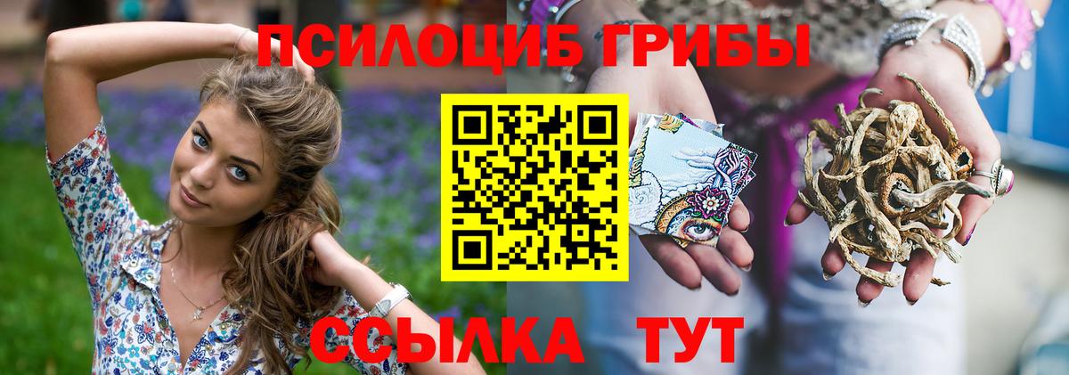 Заводоуковск  Галлюциногенные грибы GOLDEN TEACHER  Вход с VPN  Псилоцибиновые грибы Psilocybine cubensis 